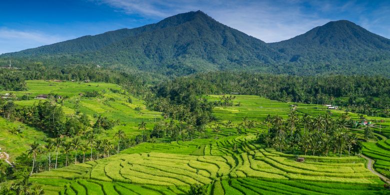 Tabanan – Lumbung Padi Bali dengan Keindahan Alam, Budaya, dan Wisata Lengkap