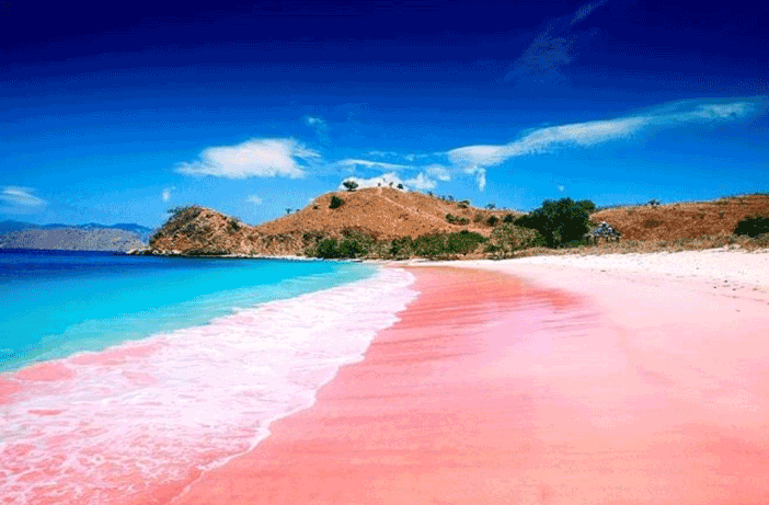 Pantai Pink Lombok: Keindahan Unik yang Membuat Hati Tenang