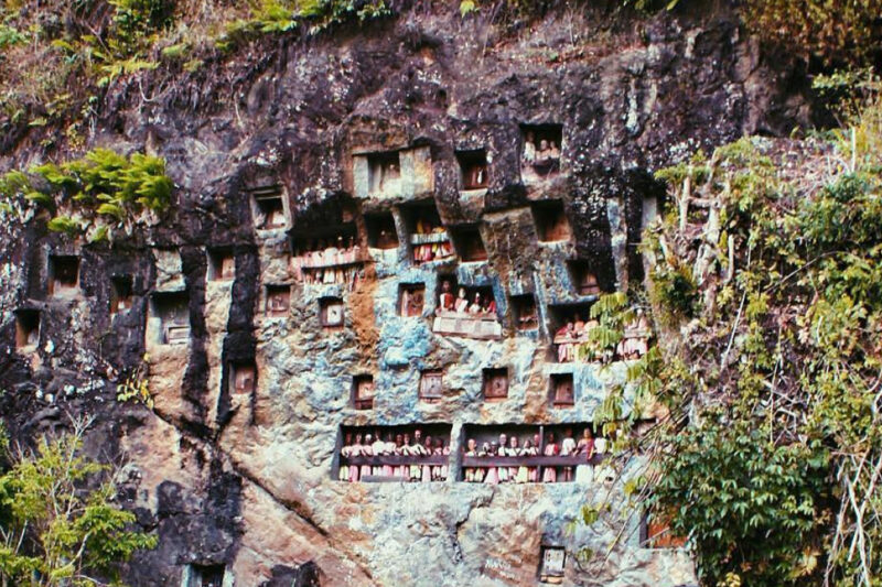 Gua Lemo Tana Toraja: Warisan Megah Pemakaman Bangsawan yang Menakjubkan