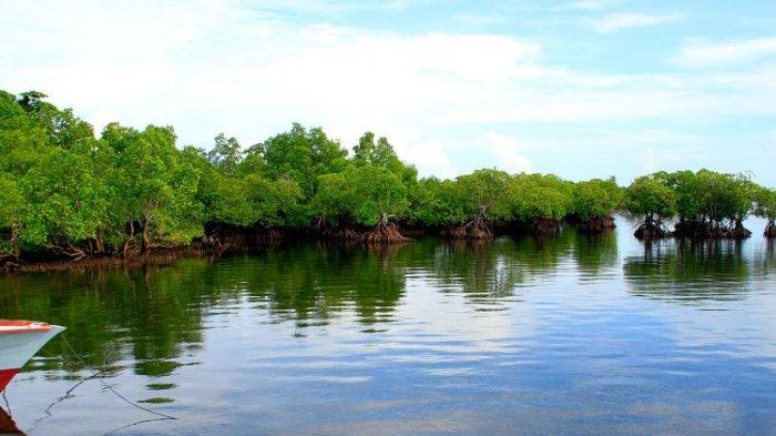 Pemandangan Pulau Mantehage yang damai, menggambarkan sebuah surga yang perlu dilestarikan untuk cerita masa depan.