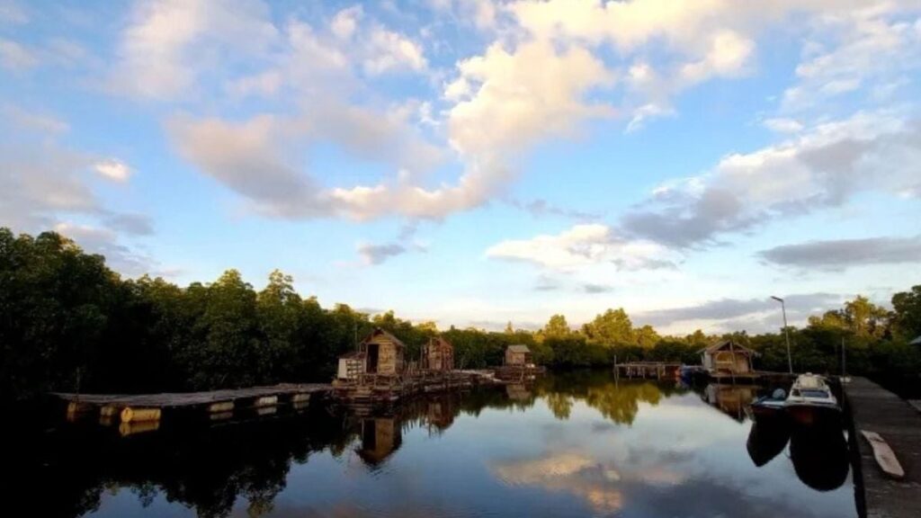 Pemandangan udara Pulau Mantehage yang memukau, menunjukkan perpaduan hutan bakau hijau lebat dan perairan laut biru jernih yang kontras.