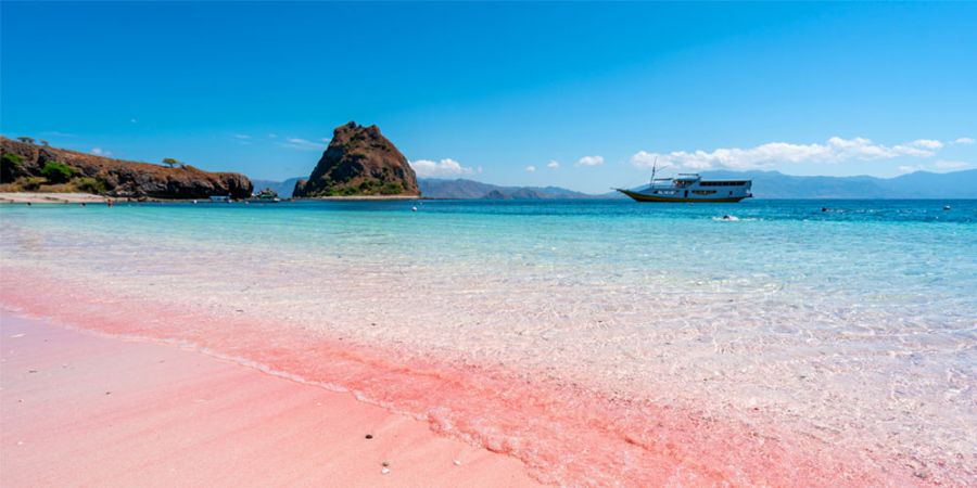 Pantai Pink Flores NTT - pemandangan pantai pasir pink dengan perbukitan hijau dan air laut biru kristal di Nusa Tenggara Timur