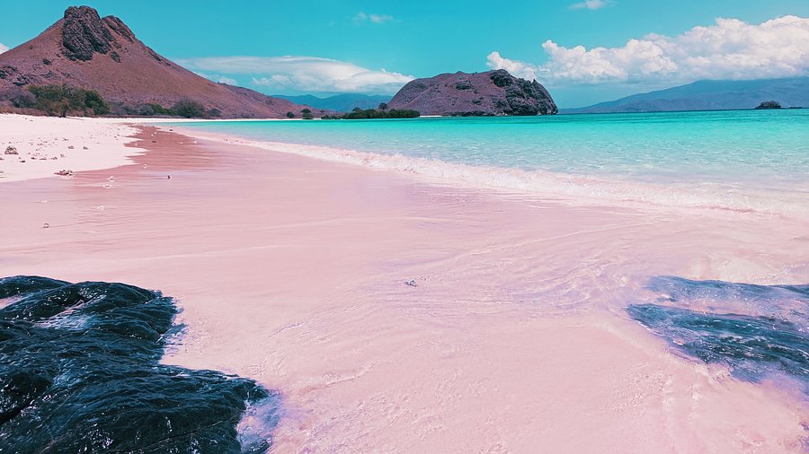 Pantai Pink Komodo NTT - pasir pink memesona di Taman Nasional Komodo dengan perairan biru dan pemandangan pulau-pulau vulkanik