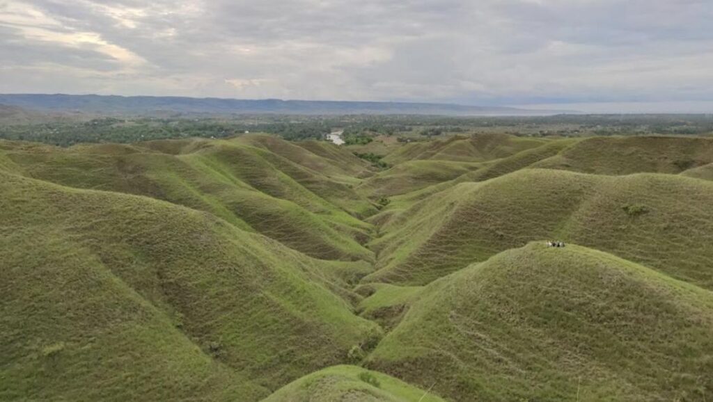 Pemandangan Taman Benaue Sumba - padang savana luas dengan bukit bergelombang dan kuda liar di Sumba Timur